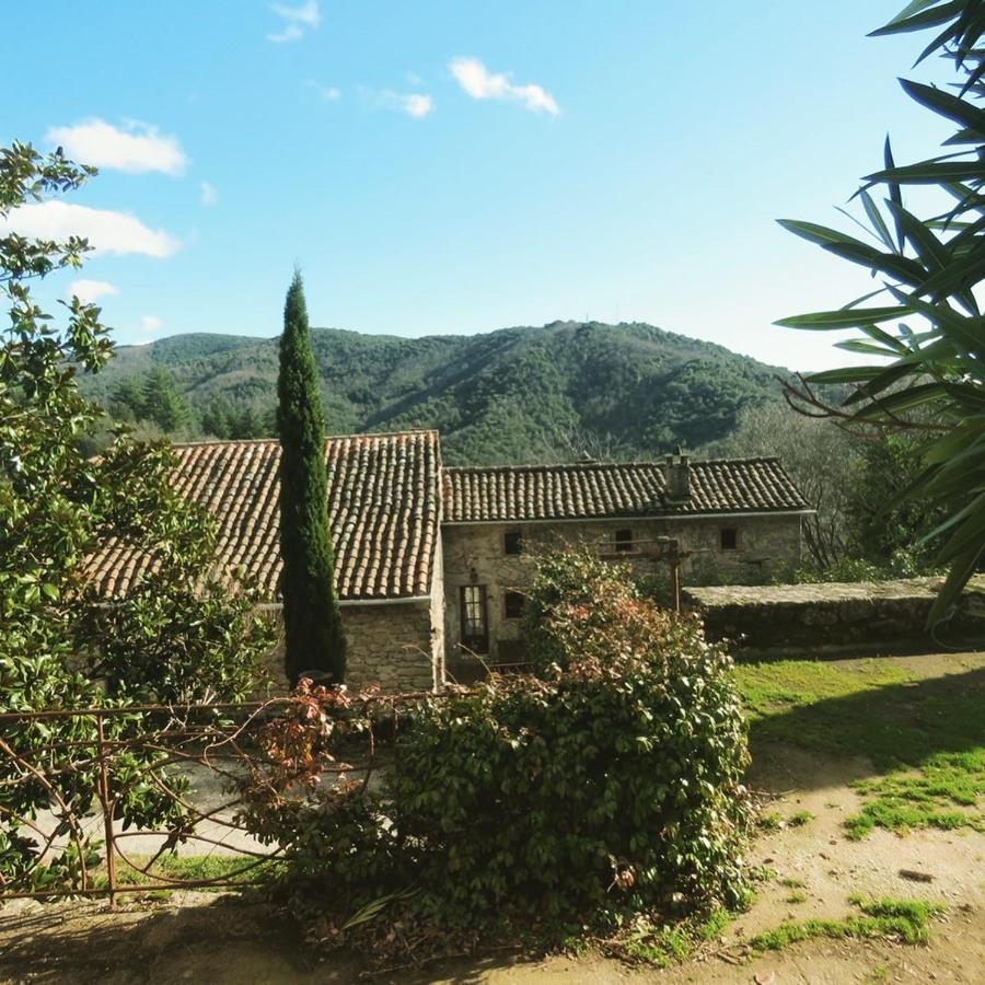 Gite Pommier Au Chateau Des Pauses Villa Saint-André-de-Majencoules Esterno foto